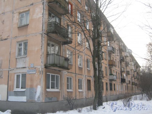 Тихорецкий пр., дом 9, корпус 2. Фрагмент здания со стороны дома 13. Фото 17 февраля 2013 г.