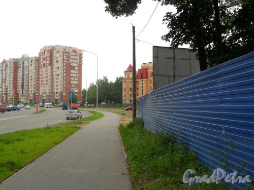 Новоколомяжский проспект, дом 13. Вид дома с улицы Малой Десятинной. Фото 14 июня 2013 г.