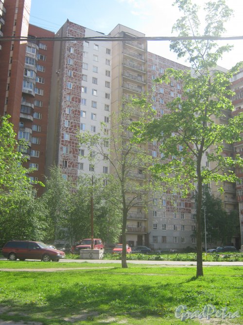 Ленинский пр., дом 79, корпус 1. Фрагмент здания со стороны Ленинского пр., подготовленного к покраске. Фото 30 мая 2013 г.