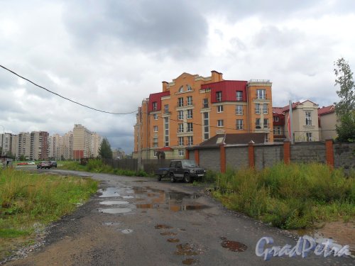 Новоколомяжский проспект, дом 21. Вид дома с улицы Афанасьевской.