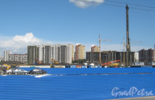 Союзный проспект (проектируется). Строящиеся здания. Вид с Дальневосточного пр. Фото 16 августа 2013 г.