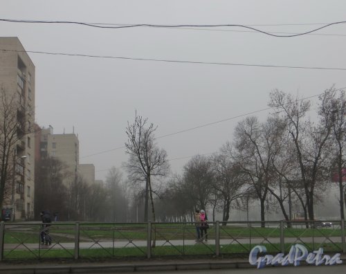 Перспектива бульвара вдоль четной стороны проспекта Стачек от Трамвайного проспекта в сторону Соломахинского проезда. Фото 23 ноября 2013 года.