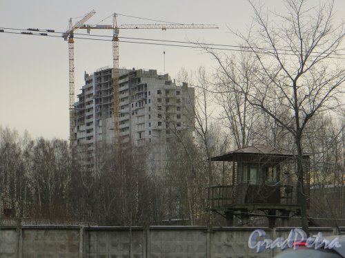 Проспект Маршала Блюхера, дом 12. Вид на строительство нового жилого дома с Кушелевской дороги. Фото 30 ноября 2013 г.