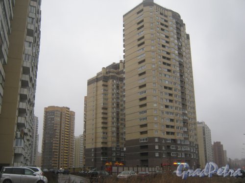 Пр. Кузнецова, дома 12. Общий вид зданий. Фото 29 декабря 2013 г.