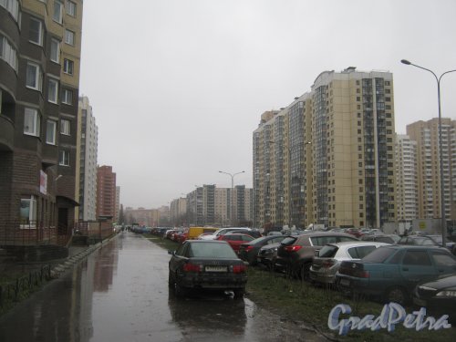 Пр. Кузнецова по пешеходной части чётной стороны. Вид от домов 14 в сторону Ленинского пр. Фото 29 декабря 2013 г.