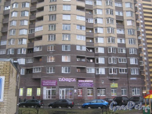 Пр. Кузнецова, дом 12, корпус 2. Нижняя часть фасада здания. Фото 29 декабря 2013 г.