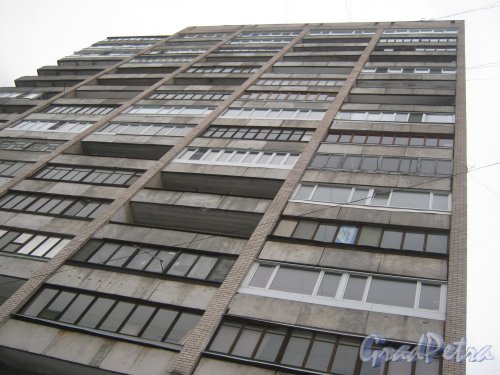 Ленинский пр., дом 121, литера А. Вид на окна балконов и лоджий со стороны дома 119, корпус 5. Фото 12 января 2014 г.