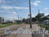Трамвайные пути параллельно Петергофскому шоссе перед пр. Маршала Жукова. Фото 8 июля 2012 г.