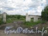 Петергофское шоссе, дом 65, литера А. Заброшенная территория. Фото 25 июня 2012 г.