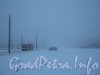 Петергофское шоссе. Перспектива от пр. Маршала Жукова в сторону ул. Доблести. Фото утро 10 декабря 2012 г.