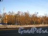 Московское шоссе, дом 5. Общий вид жилого дома со стороны Московского шоссе. Фото 25 февраля 2013 года.