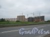Горелово, Красносельское шоссе. Общий вид строящихся зданий с Волхонского шоссе. Фото 30 июня 2013 г.