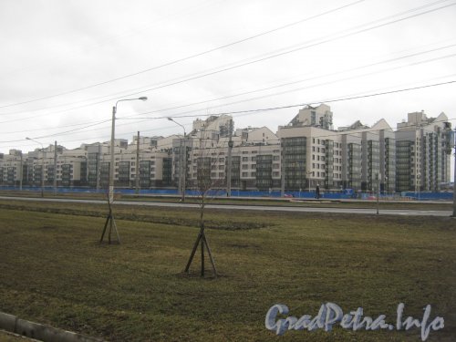 Петергофское шоссе, дом 47. Общий вид с Петергофского шоссе на строящийсяжК. Фото апрель 2012 г.