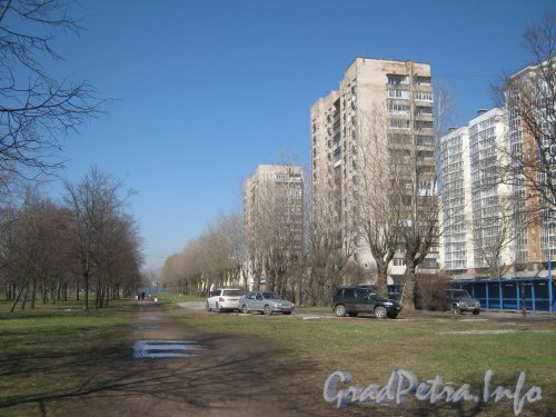 Пешеходная дорожка в сквере между Пулковским шоссе и его «карманом». Вид в сторону Дунайского пр. Фото апрель 2012 г.