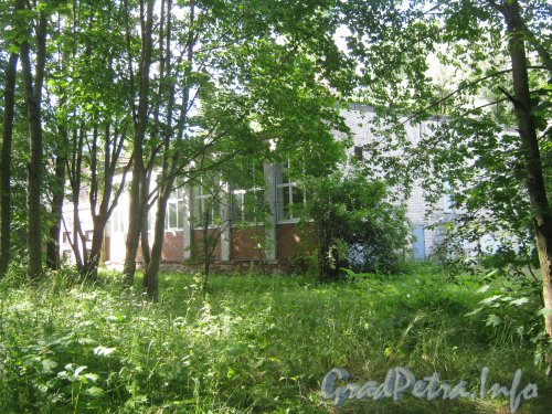 Пулковское шоссе, дом 88. Общий вид здания школы со стороны поля. Фото 11 июля 2012 г.
