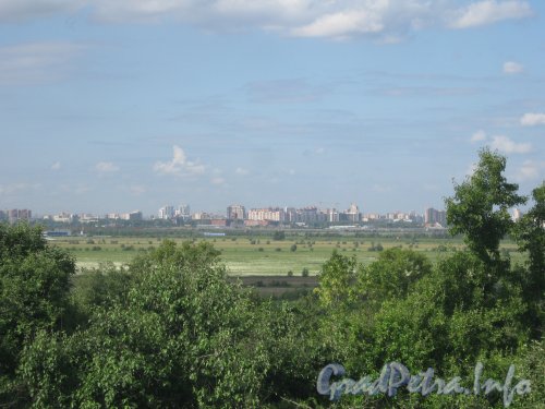 Вид с Пулковских высот на новостройки в районе Шушары. Фото 11 июля 2012 г.