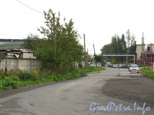 Перспектива Глухоозерского шоссе от дома 1 в сторону улицы Книпович. Фото сентябрь 2012 г.