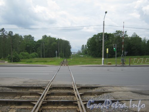 Петергофское шоссе. Железнодорожный переезд на Петергофском шоссе (ж/д в сторону станции Сосновая Поляна). Фото 20 июня 2012 г.