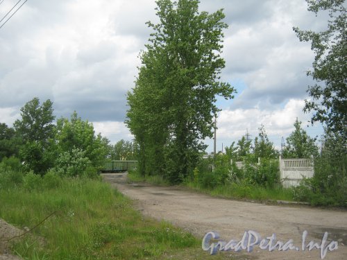 Петергофское шоссе, дом 65, литера А. Заброшенная территория. Фото 25 июня 2012 г.
