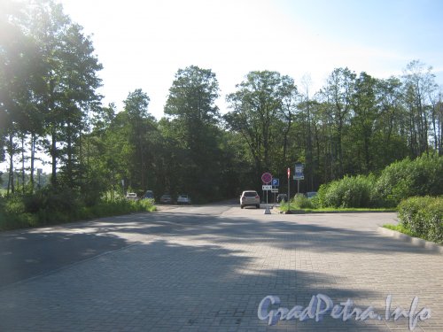 Кронштадтское шоссе. Автобусная остановка «Братская могила» около Кронштадтского кладбища. Фото 20 июля 2012 г.