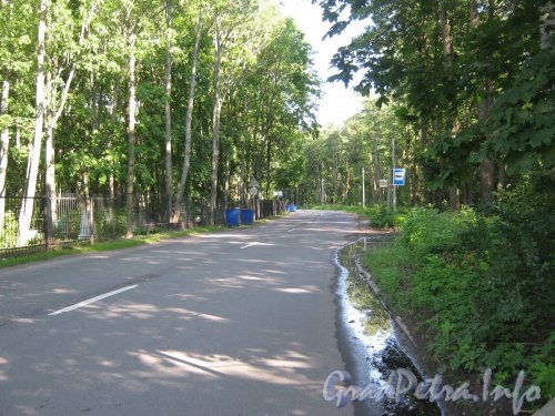 Кронштадтское шоссе около Кронштадтского кладбища. Вид в сторону КАД. Фото 20 июля 2012 г.