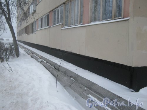 Петергофское шоссе, дом 1, корпус 1. Ремонт теплосети. Временные трубы вдоль дома. Фото утро 10 декабря 2012 г.