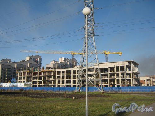 Петергофское шоссе, дом 47в. Общий вид строящегося здания. Фото 10 ноября 2012 г.