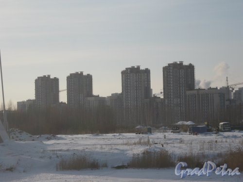 Петергофское шоссе, дом 45. Общий вид зданий со стороны пр. Героев. Фото 28 января 2013 г.