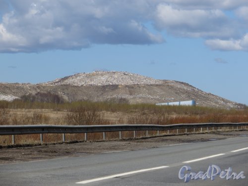 Волхонское шоссе. Одна из гор свалки бытовых отходов. Общий вид. Фото 1 мая 2013 г.