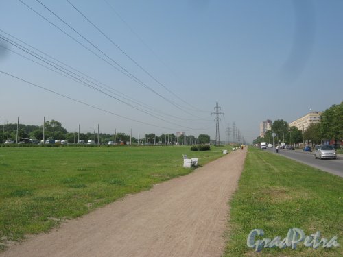 Петергофское шоссе. Вид в сторону Стрельны от пешеходной дорожки в районе дома 1 корпус 1. Фото 26 июня 2013 г.