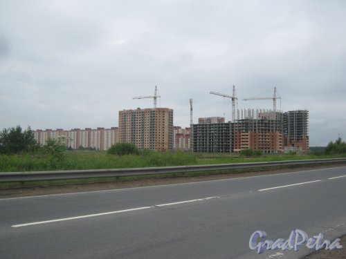Горелово, Красносельское шоссе. Общий вид строящихся зданий с Волхонского шоссе. Фото 30 июня 2013 г.