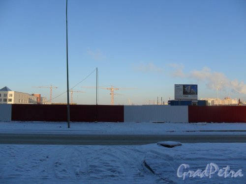 Петергофское шоссе,участок 22. ЖК «More». Общий вид строительной площадки. Фото январь 2014 года.