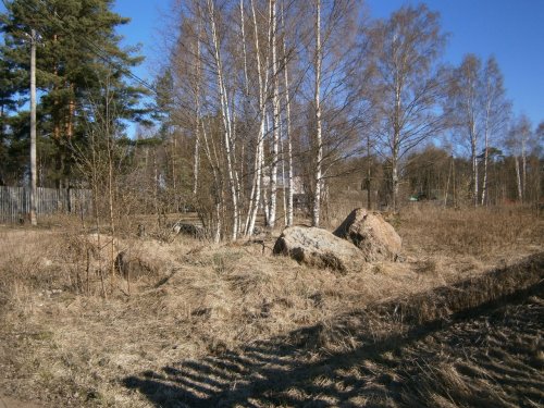 Ленинградская область,Подборовье, пос. - Участок продажа 