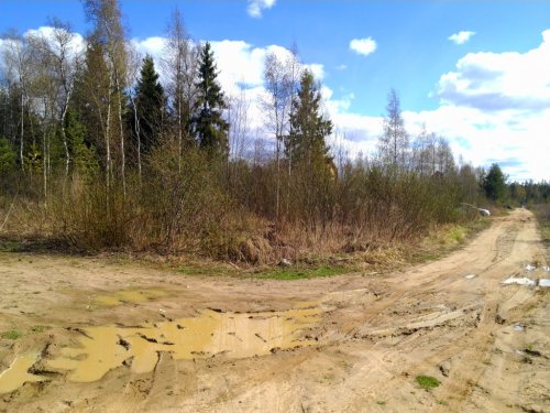 Ленинградская область,Большая Ижора, пос. - Участок продажа 