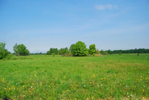 Санкт-Петербург,Карла Маркса пр. (Левашово) - Участок продажа 